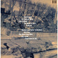 Nas - Illmatic (LP, Album)