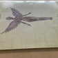 Nirvana – In Utero (LP, Album, Limited Special Edition, Clear Vinyl)